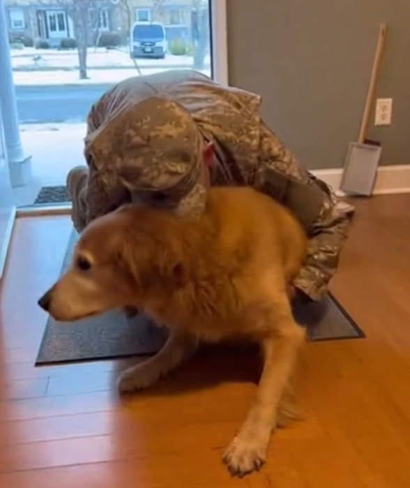 A Young Soldier Came Home on Leave — And the Old Dog Collapsed Into His Chest Like They’d Never Been Apart