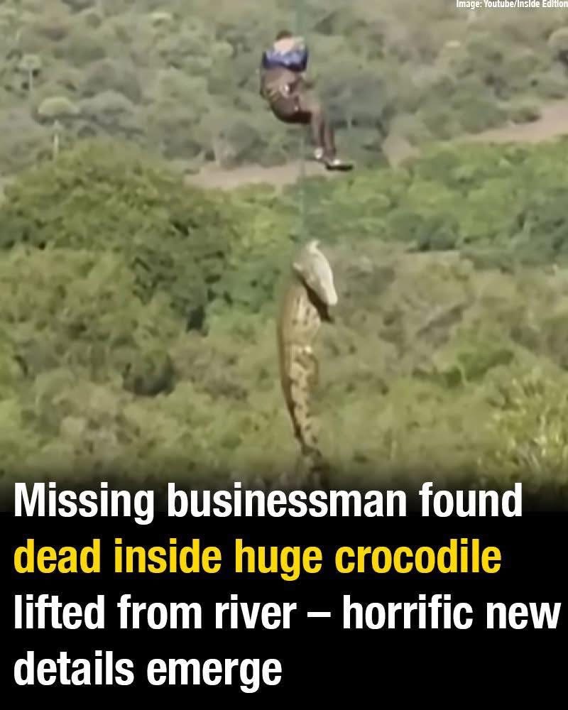 Missing businessman found dead inside huge crocodile lifted from river – horrific new details emerge
